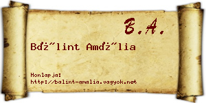Bálint Amália névjegykártya