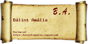 Bálint Amália névjegykártya